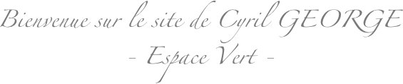 Bienvenue sur le site de Cyril GEORGE
- Espace Vert -