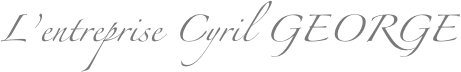 L’entreprise Cyril GEORGE